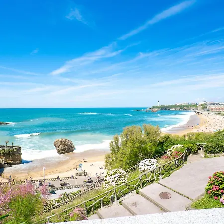 Goélands Biarritz
